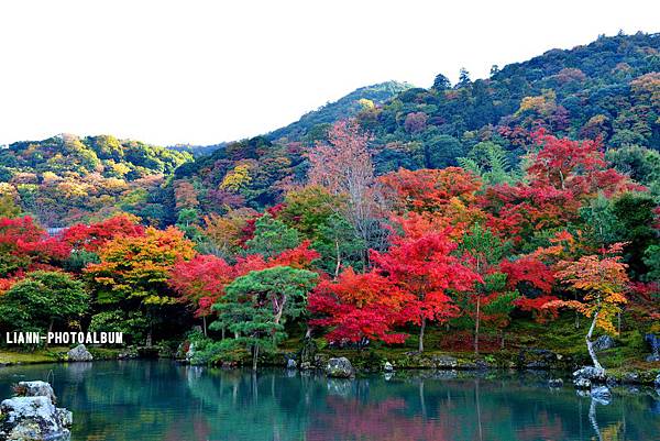 DSC_0441_small.jpg DSC_0441_small.jpg