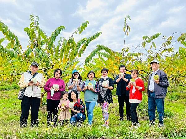 鹿野森活慢遊懶人包