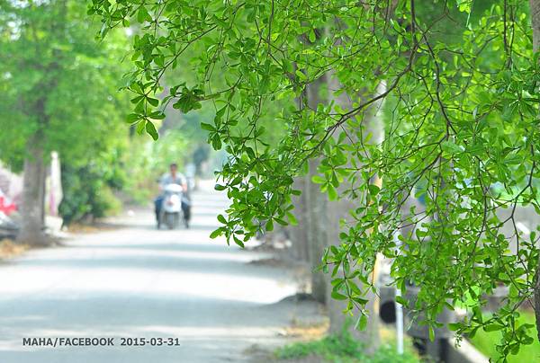 DSC_0149-001 DSC_0149-001