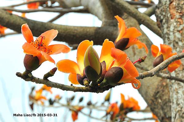 DSC_0069 DSC_0069