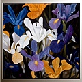 Medad, Iris 100x100.jpg
