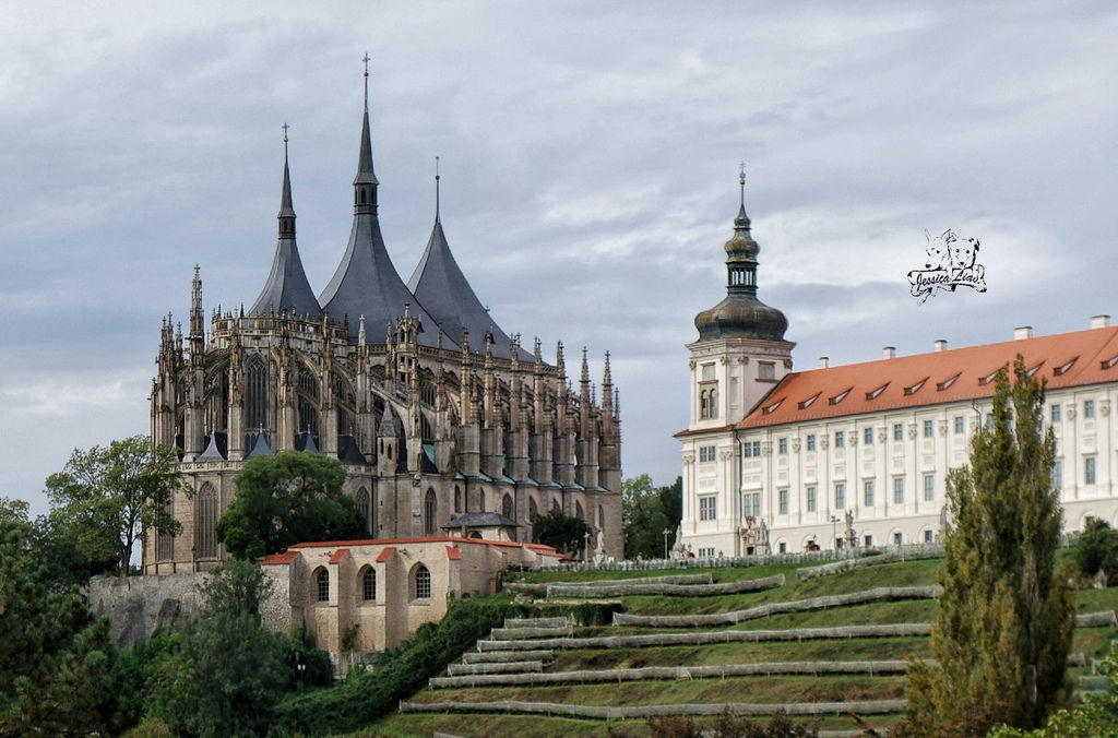 眺望Barbory cathedral