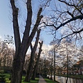 Noorderplantsoen Park