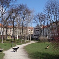 Hostel一旁的小公園(2)
