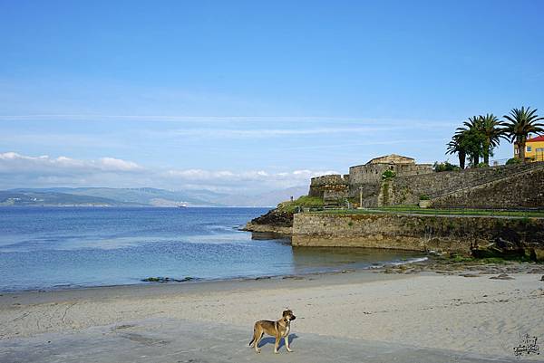 《西班牙》Camino 朝聖之路 Day31所謂世界的盡頭