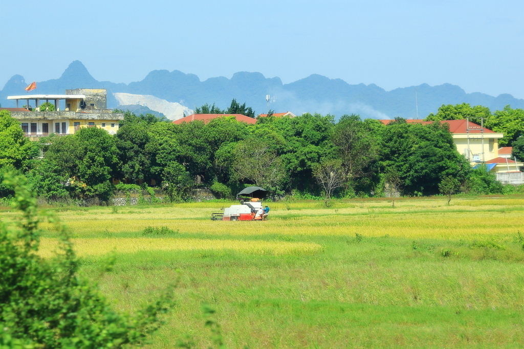 越南風情畫~車上移動的風景