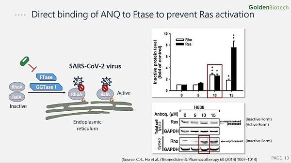 抗病毒Golden-Biotechnology_10-1.jpg