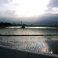 04池上田園一景