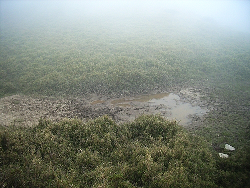 32小水池有野獸的洗澡痕跡