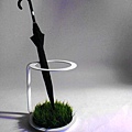 G-umbrella stand