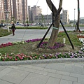 P1020447.JPG