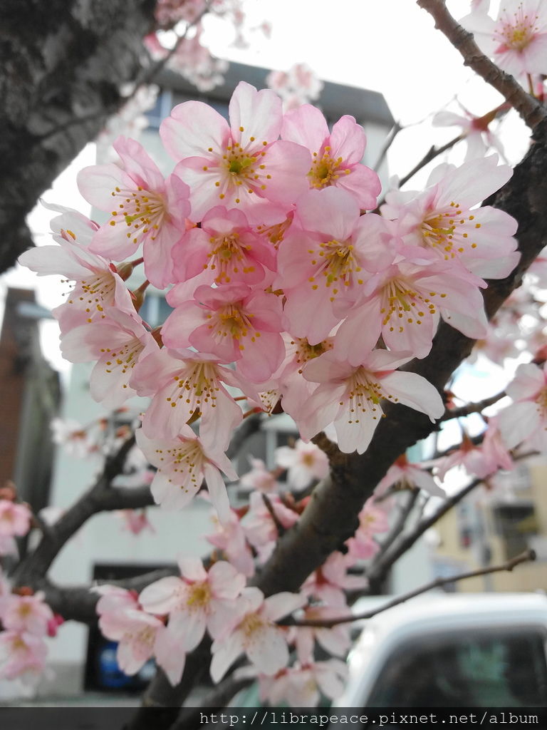 20160319_153254.jpg 20160319_153254.jpg