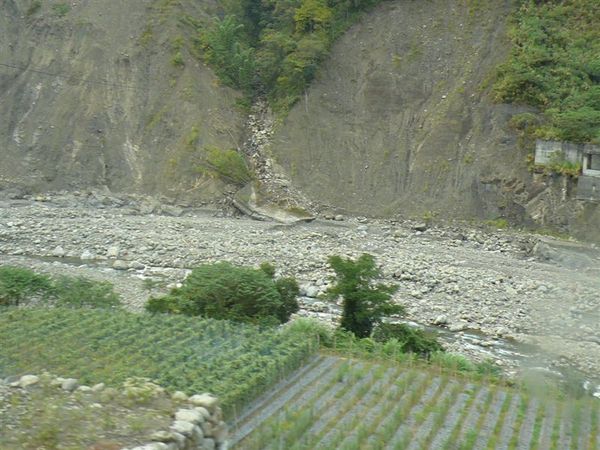 前往阿里山