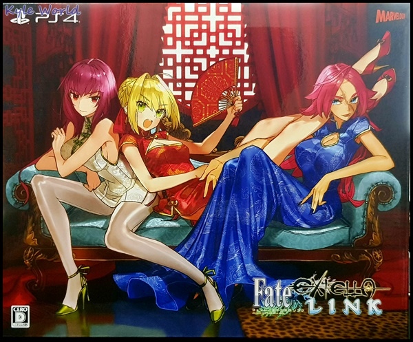 FateEXTELLA LINK013.jpg