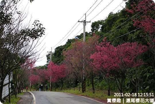 P1220156 P1220156