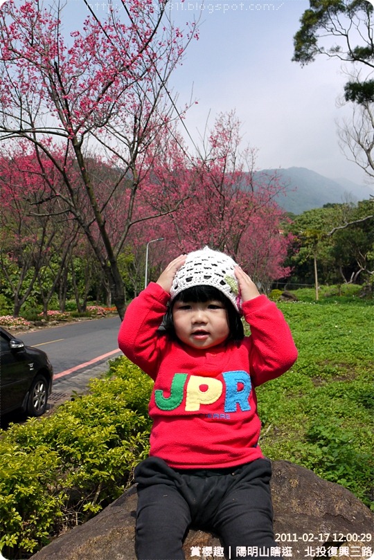 P1211001 P1211001