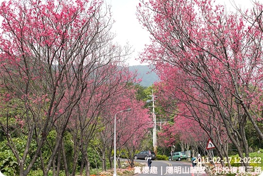 P1210999 P1210999