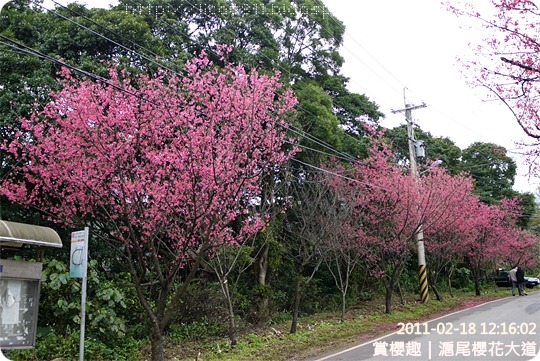 P1220157 P1220157