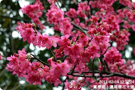 P1220148 P1220148