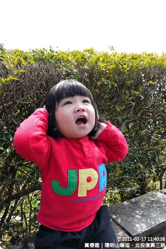 P1210990 P1210990