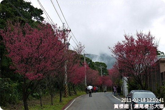 P1220142 P1220142