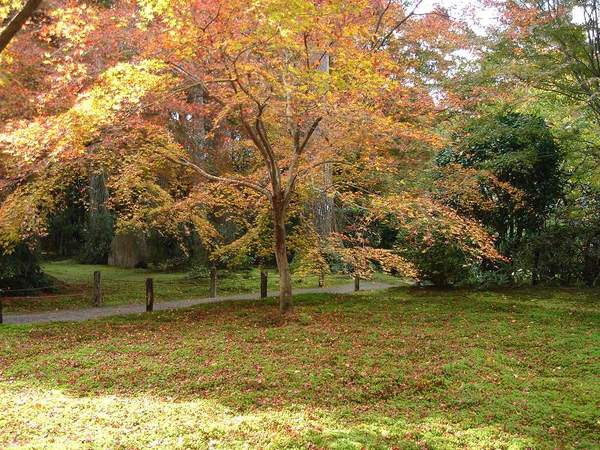 大原三千院