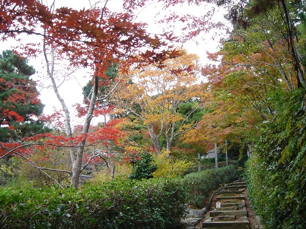 常寂光寺