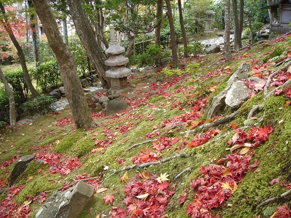 常寂光寺