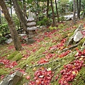 常寂光寺