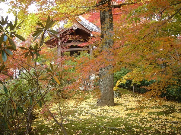 常寂光寺