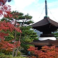 常寂光寺--多寶塔