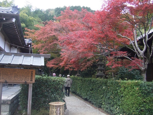 常寂光寺--山紫水明之籠