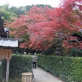 常寂光寺--山紫水明之籠