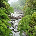 望  祖谷かずら橋