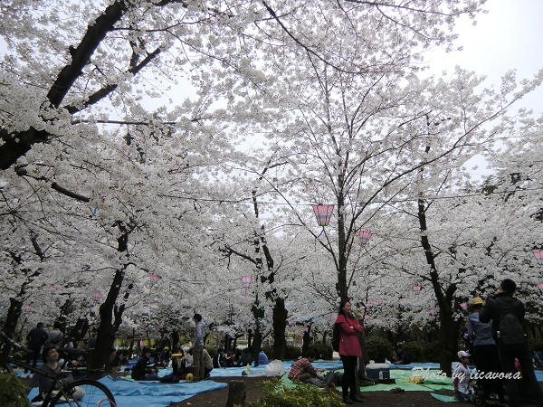 鶴舞公園