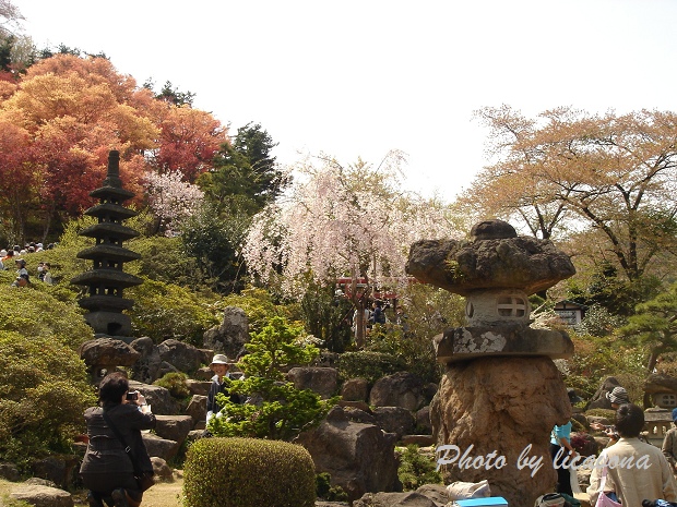 花見山公園