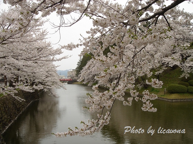 松が岬公園