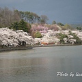 高松之池