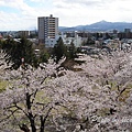 盛岡城跡公園