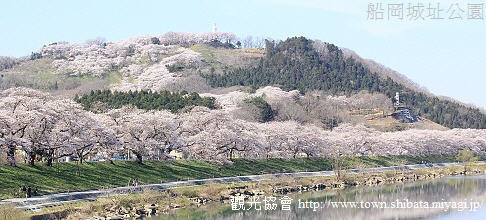 船岡城址公園