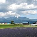 富田農場