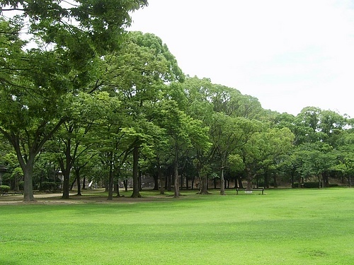 大阪城公園