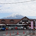 富士芝櫻