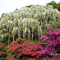 足利花卉公園