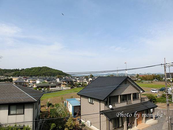 富田車站前往足利花卉公園