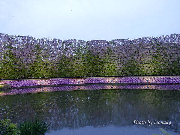 足利花卉公園(夜景)