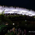 足利花卉公園(夜景)