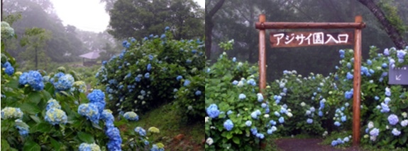 京都-舞鶴自然文化園.jpg