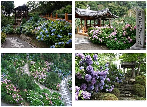 京都-善峰寺.jpg