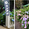 東京-白山神社.jpg